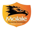 Molale Security Logo